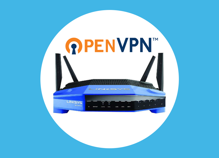 OpenVPN